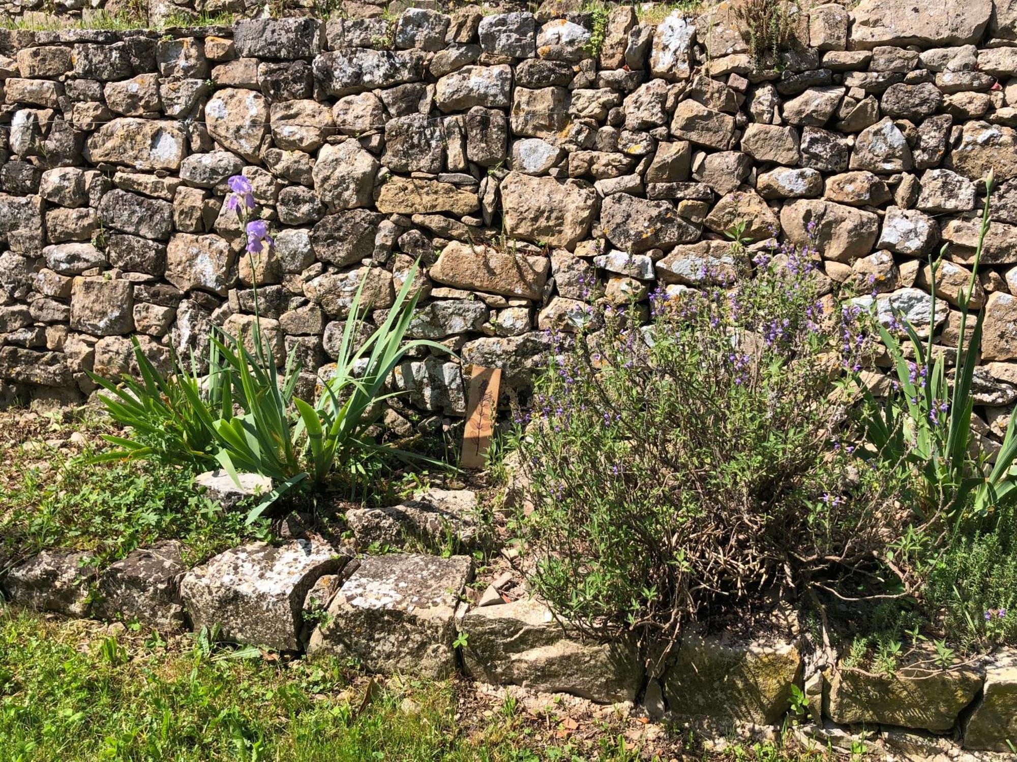 Holiday home Provencale Au Calme Entouree De Verdure, Animaux De Compagnie Acceptes !